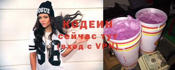 гашик Абаза