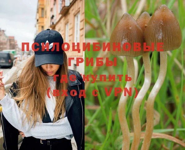 ешки Абинск